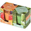 Emocio Tasty Fruit & Aloe Vera Duftkerzenglas 52 x 65 mm 2 Stück in einer Schachtel