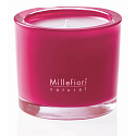 Millefiori Milano Natural Grape Cassis - Trauben und schwarze Johannisbeeren Duftkerze brennt bis zu 60 Stunden 180 g
