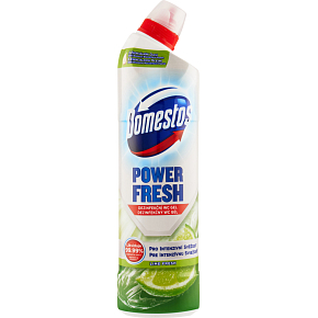 Domestos Power Fresh Limette Frisch WC-Gel, 700 ml