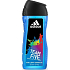 Adidas Team Five 2 in 1 Duschgel für Körper und Haare für Männer 250 ml
