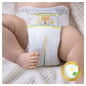 Pampers Premium Care 2 Mini 3-6 kg Einwegwindeln 80 Stück