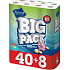 Forest Bick Pack Toilettenpapier 2-lagig 150 Stück 48 Stück