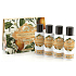 Somerset Toiletry Orangenblüten-Körperlotion 50 ml + Duschgel 50 ml + Shampoo-Haar 50 ml + Haarspülung 50 ml, kosmetisches Reiseset
