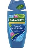 Palmolive Thermal Spa Mineral-Massage-Duschgel 250 ml