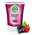Dettol Beeren Obst kontaktlos Spender 250 ml nachfüllen