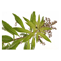 Le Chatelard Verbena und Lemon Diffusor füllen 250 ml nach