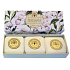 English Soap White Jasmine natürliche parfümierte Seife mit Sheabutter 3 x 100 g,