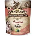 Carnilove Hundebeutel Paté Lachs mit Blaubeeren in zelllosen Taschen für Welpen 300 g