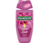 Palmolive Duschgel Erinnerungen der Natur Blumenfeld, 250 ml
