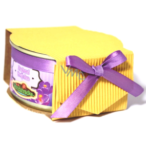 Albi Mini Garden Violette Zinn-Geschenkverpackung für wachsende Blumen