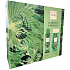 C-Thru Luminous Emerald Deodorant Spray 150 ml + Duschgel 250 ml, Kosmetikset für Frauen