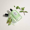 David Beckham Aromatic Greens Eau de Parfum für Männer 100 ml
