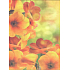 Nekupto Geschenk Kraftbeutel 29 x 22 x 10 cm Blumen