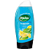 Radox Invigorate Mint- und Zitrusöl 2 in 1 Duschgel und Shampoo 250 ml
