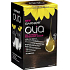 Garnier Olia Ammonia Free Haarfarbe 4.3 Golden Dark Brown