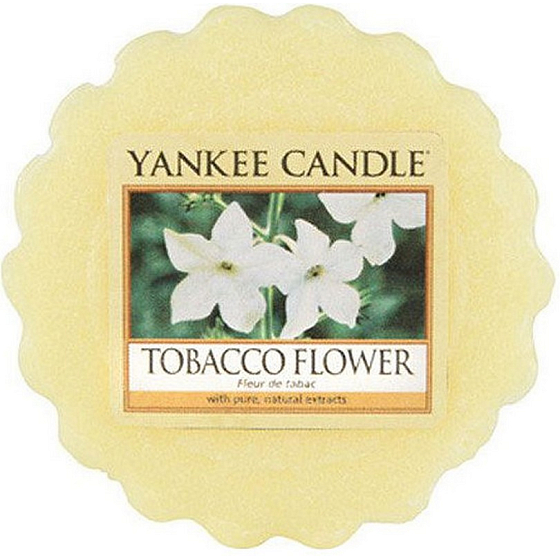 Yankee Candle Tobacco Flower - Tabakblume duftendes Wachs für Aromalampe 22 g