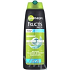 Garnier Fructis Men Menthol Power stärkendes Shampoo gegen Schuppen 250 ml