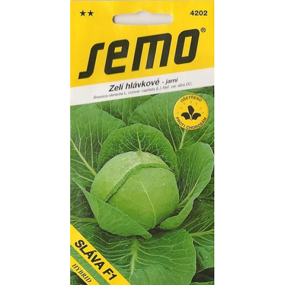Semo Headed Cabbage Spring Glory F1 50 Samen