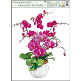 Fensterfolie ohne Orchideenkleber dunkelrosa 42 x 30 cm