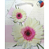 Nekupto Geschenk Papiertüte 14 x 11 x 6,5 cm Gerbera 1 Stück T083