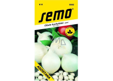 Semo Zwiebel Küche Frühling weiß Agostana 1 g