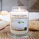 Yankee Candle Fluffy Towels - Fluffy Towels Duftkerze Classic kleines Glas 104 g