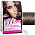 Loreal Paris Sublime Mousse Haarfarbe 500 echtes Braun