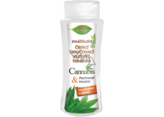 Bione Cosmetics Cannabis reinigender Make-up-Entferner Hauttonikum 255 ml