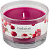 Bolsius Aromatic Wild Cranberry Duftkerze in Glas 90 x 65 mm 247 g Brenndauer ca. 30 Stunden