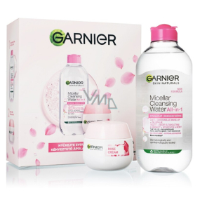 Garnier Skin Naturals Mizellenwasser für empfindliche Haut 400 ml + Botanical Cream mit Rosenwasser Gesichtscreme für trockene und empfindliche Haut 50 ml, Kosmetikset