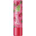 Regina Malina Lippenpomade - Hirschtalg im Blister 4,5 g