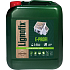 Lignofix E-profi Prävention gegen Insekten, Schimmel, Pilze, grün, 5 kg