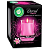 Air Wick Eternal Scents Rosa mediterrane Blumen Duftkerze in Glas 130 g