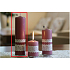Lima Spitzenkerze alter rosa Zylinder 60 x 220 mm 1 Stück