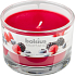 Bolsius Aromatic Berry Delight - Entzückende Duftkerze mit Beeren in Glas 90 x 65 mm 247 g Brenndauer ca. 30 Stunden