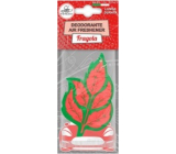 Lady Venezia Deodorant Lufterfrischer Fragola - Erdbeere Lufterfrischer für Auto 1 Stück