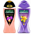 Palmolive Aroma Sensations So Luminous Duschgel 250 ml + Aroma Sensations So Relaxed Duschgel 250 ml, 18 Stück im Karton
