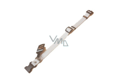 B&F Phosphorus Halsband für kleine Hunde 1,5 x 27 - 43 cm