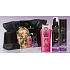 Taffeta Power Cashmere Tasche + Haarshampoo + Nagellack + Straffungsschaum, Kosmetikset