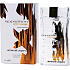 Emanuel Ungaro Apparition Wildorange für Homme EdT 50 ml Eau de Toilette Ladies