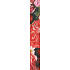 Nekupto Geschenkpapier 70 x 150 cm Rote Rosen 1 Rolle