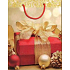 Nekupto Geschenk Papiertüte 14 x 11 x 6,5 cm Weihnachten 1207 01 WBS