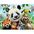 Prime3D Magnet - Zoo Selfie 9x7cm