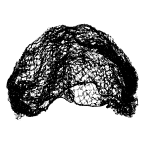 Abella Haarnetz D - 70