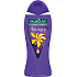 Palmolive Aroma Sensations So Relaxed Duschgel 500 ml