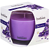 Bolsius True Scents Lavender - Lavendel-Duftkerze im Glas 95 x 95 mm, Brenndauer 43 Stunden