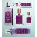 Erbario Toscano Geschenke aus der Toskana Duschgel 125 ml + parfümiertes Wasser für Frauen 10 ml, Luxuskosmetikset