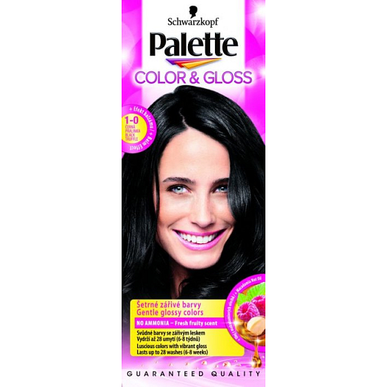 Schwarzkopf Palette Farbe & Glanz Haarfarbe 1 - 0 Schwarze Praline