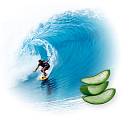 Soleo Surf Aloe Vera Schneller Bräunungsbeschleuniger für empfindliche Haut 15 ml