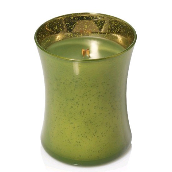WoodWick Evergreen - Duft von Nadeln Duftkerze mit Docht aus Holz und Deckel Glas Medium 275 g Festine Joy Limited 2018
